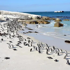 https://admirals-waterfall.hotels-capetown.com